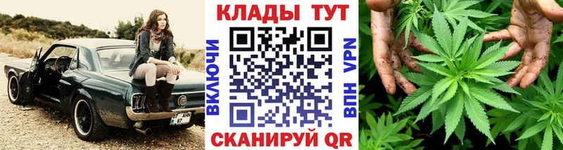 Где купить наркоту Волгодонск КОКАИН  A-PVP  Мефедрон  ГАШ  Амфетамин  Псилоцибиновые грибы  Каннабис 