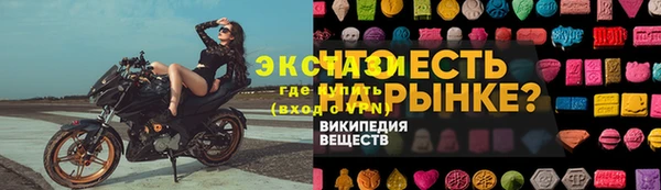 СК Дмитров