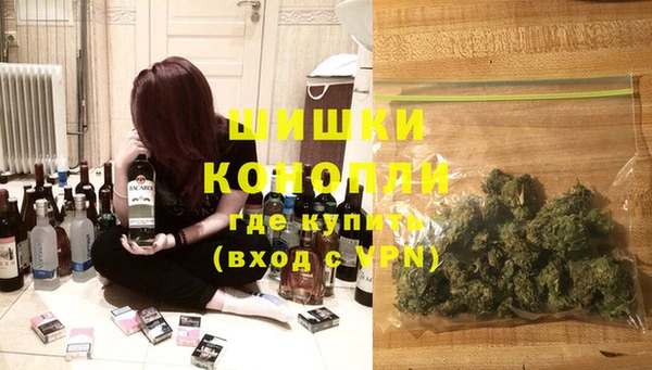 СК Дмитров