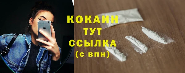 СК Дмитров