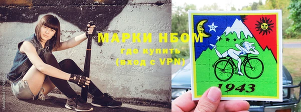 СК Дмитров