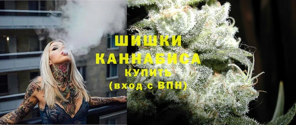 СК Дмитров