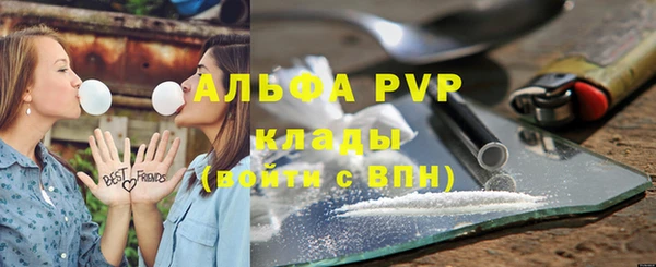 СК Дмитров